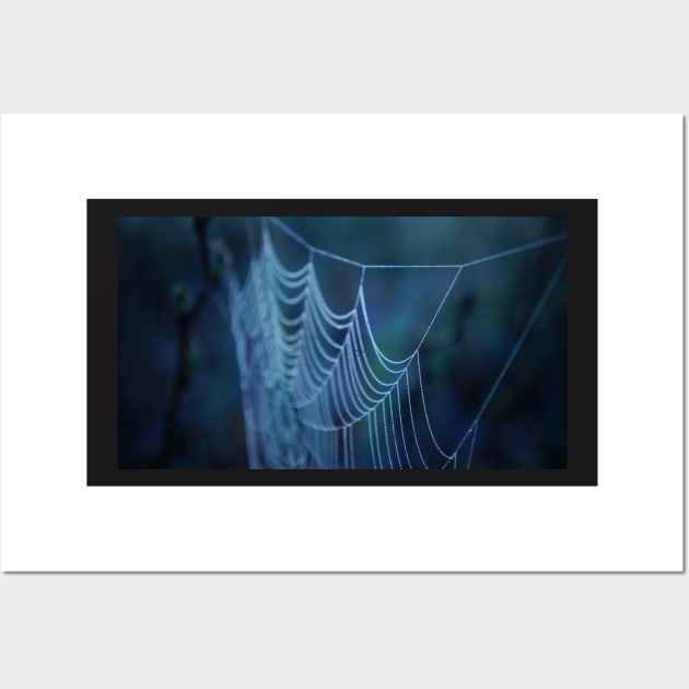 Dew Covered Spider Web Macro Wall Art by 1Redbublppasswo